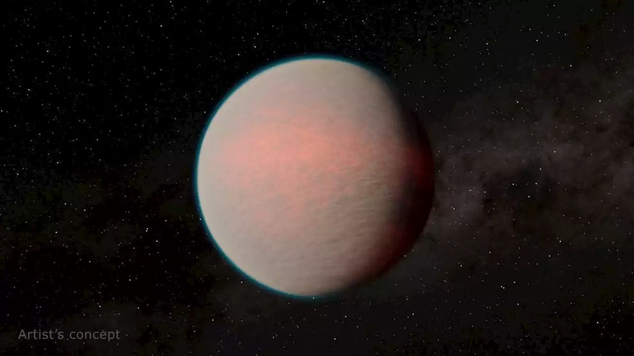 NASA's JWST discovers a reflective Mini-Neptune with a steamy atmosphere