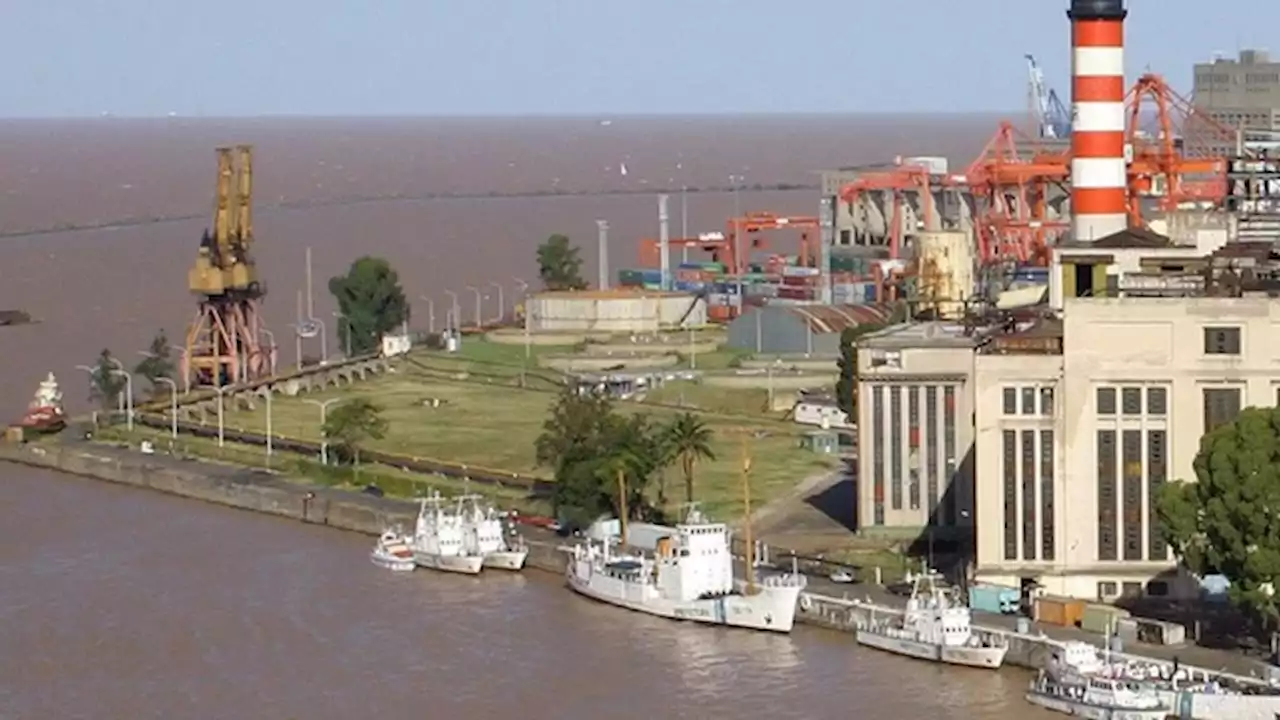 Energía y forestación, los 'focos' elegidos por Central Puerto