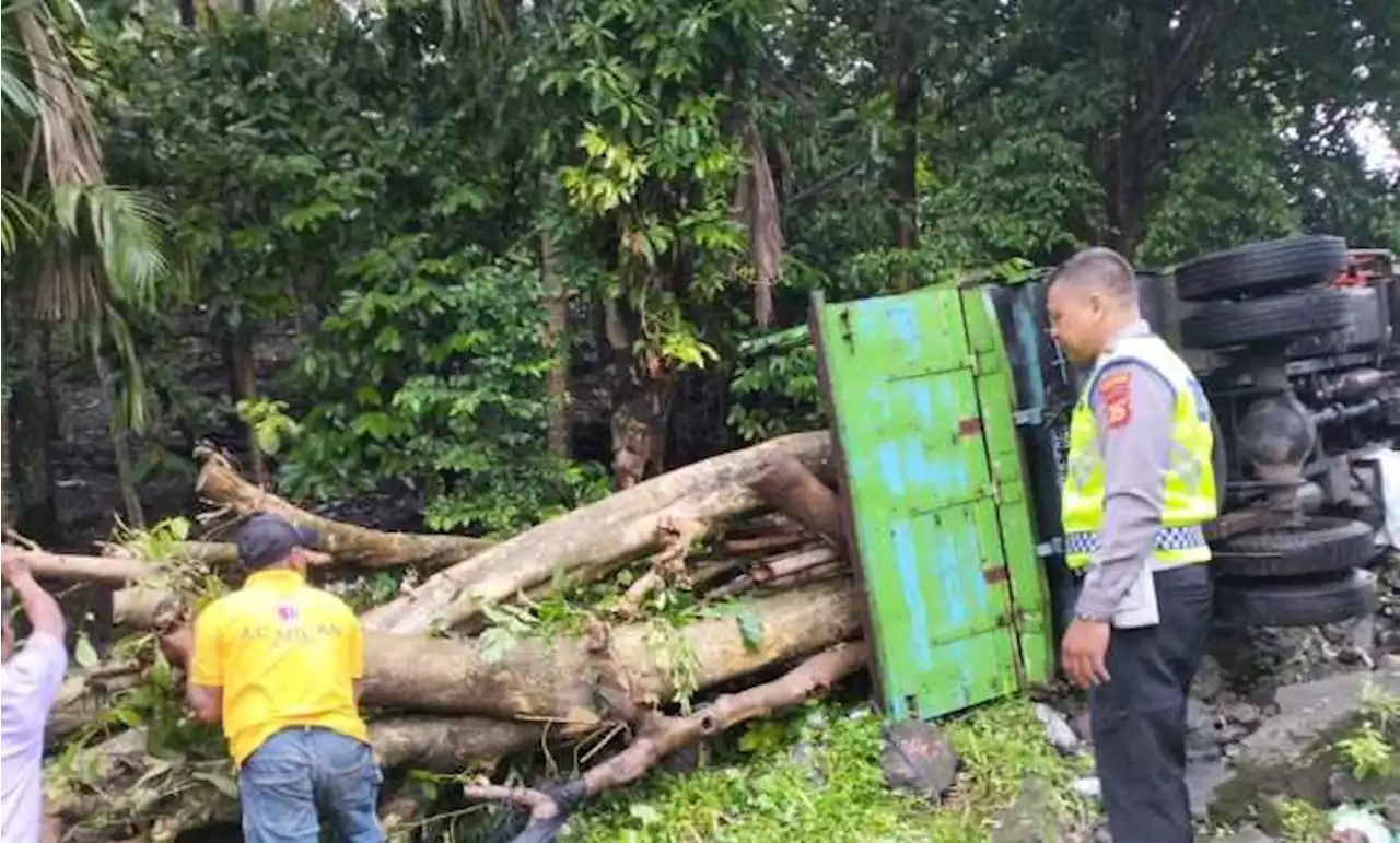 Gegara Tak Kuat Menanjak, Truk Pengangkut Tanaman Terguling