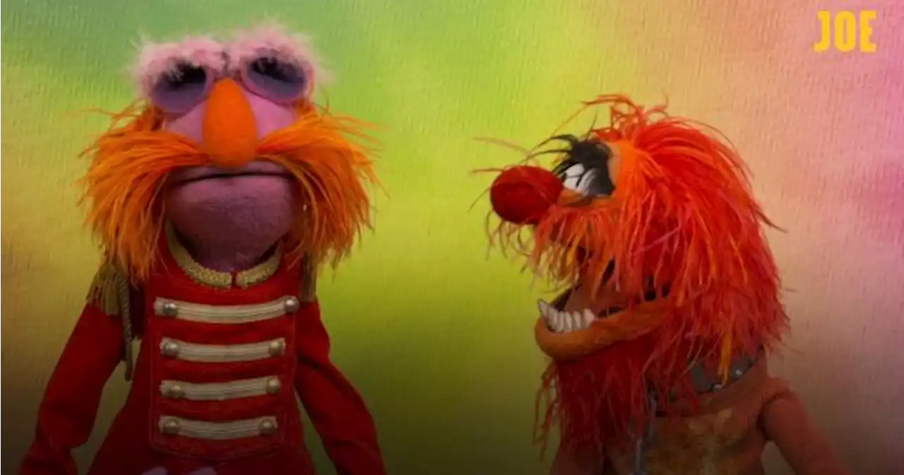 The Muppets REALLY want to duet with some particular Irish musicians | JOE.ie