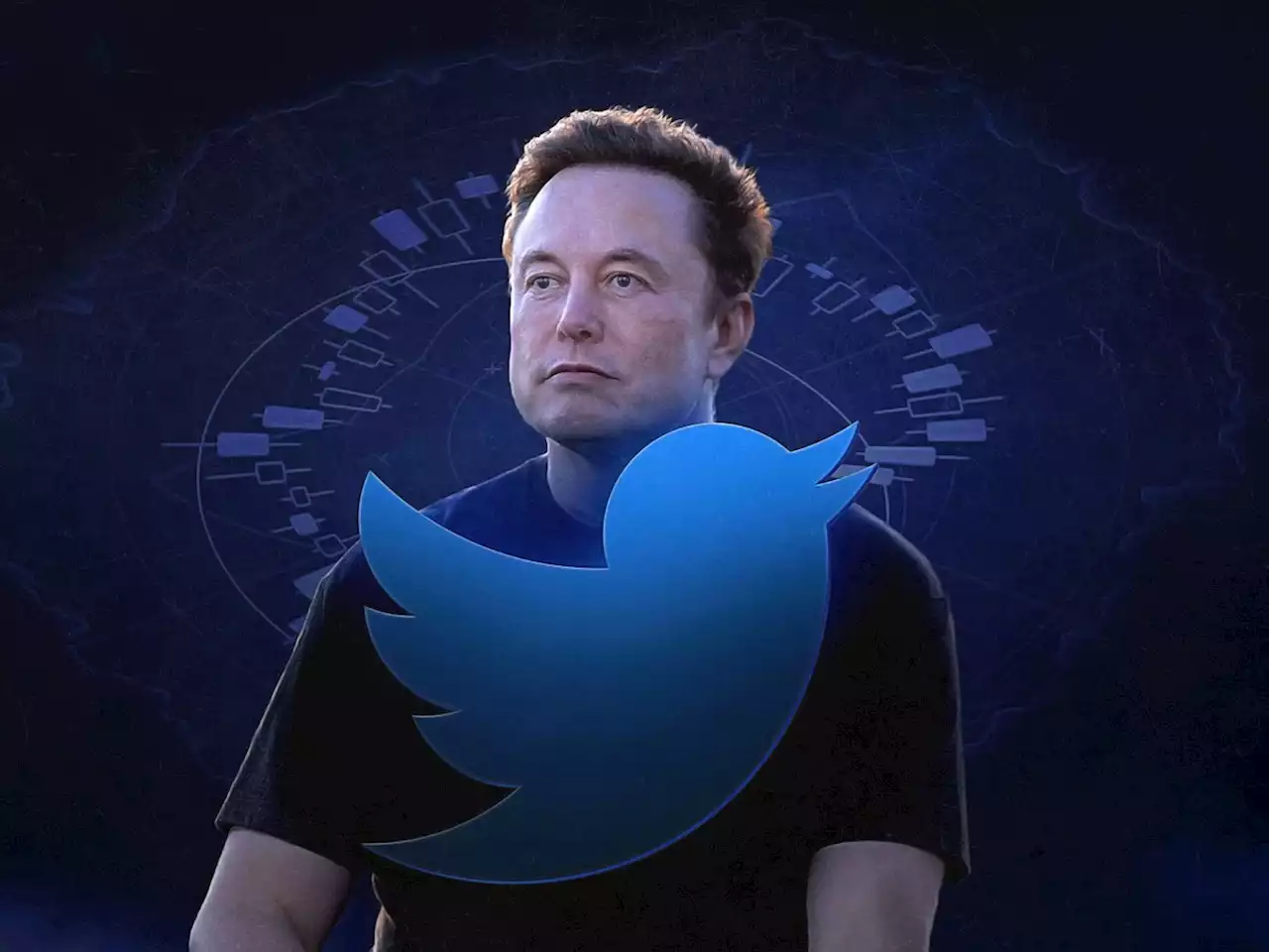 Musk fora do Twitter: veja 6 marcas da gestão conturbada do bilionário na rede social