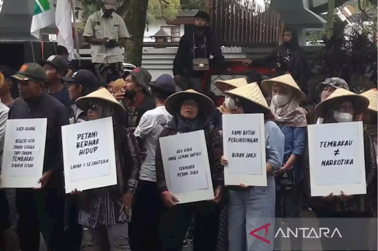 Tembakau Disamakan dengan Narkotika, Petani Temanggung Tak Terima