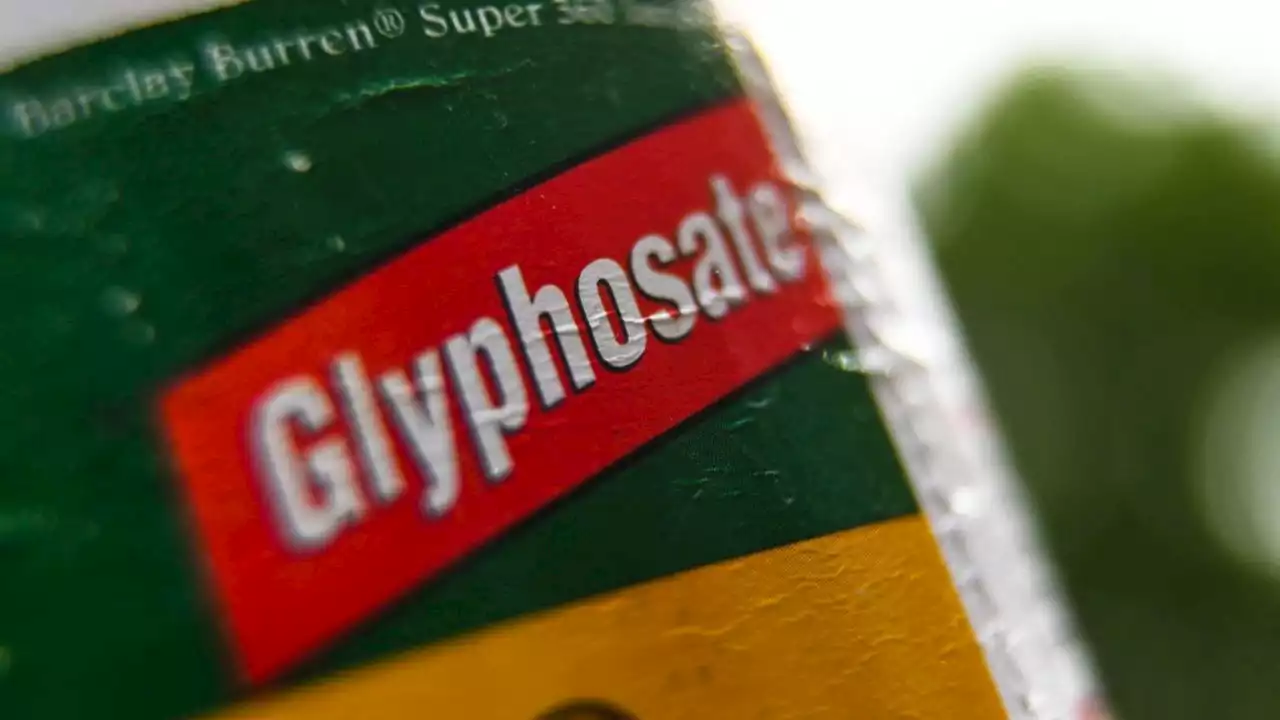 Glyphosate : la vente de deux herbicides de Syngenta suspendue