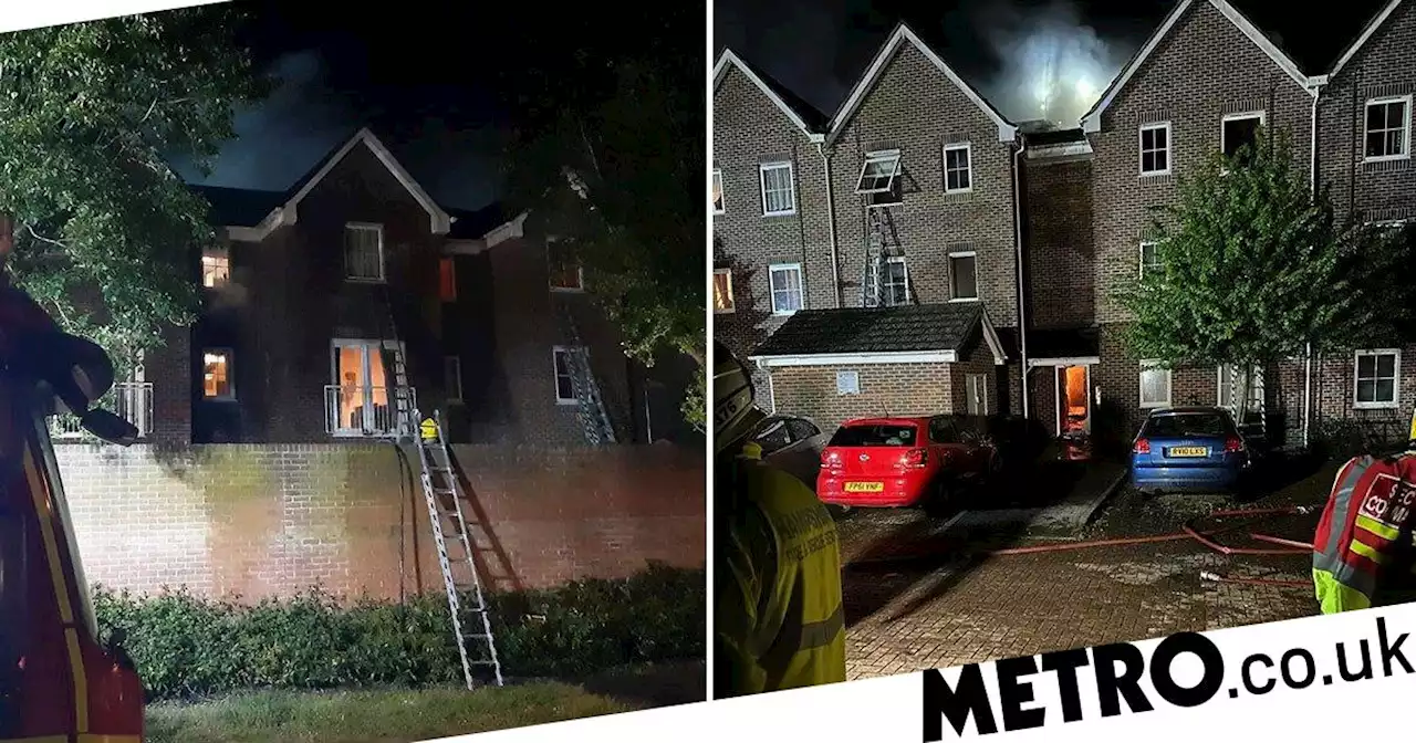 Desperate dad threw daughters, 7 and 4, from top floor of burning flats