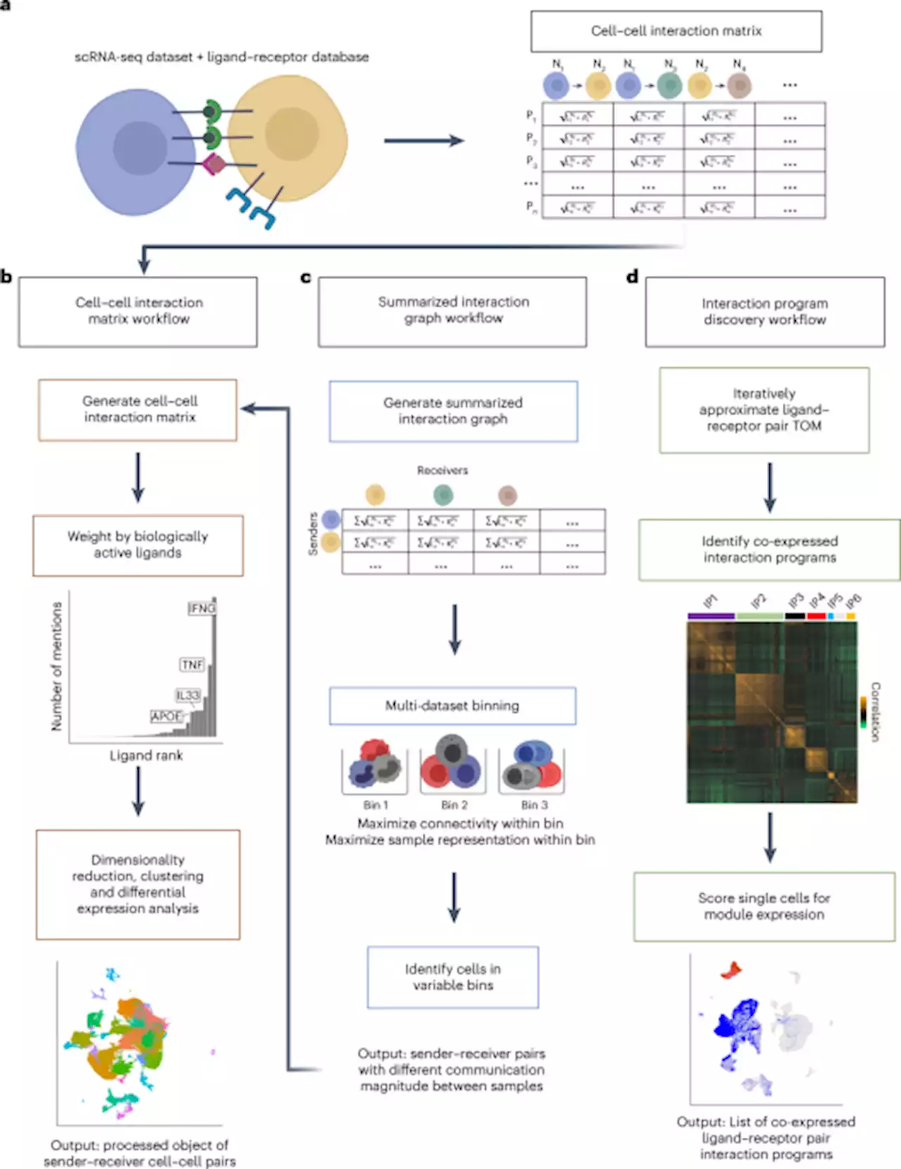 Comparative analysis of cell–cell communication at single-cell resolution - Nature Biotechnology