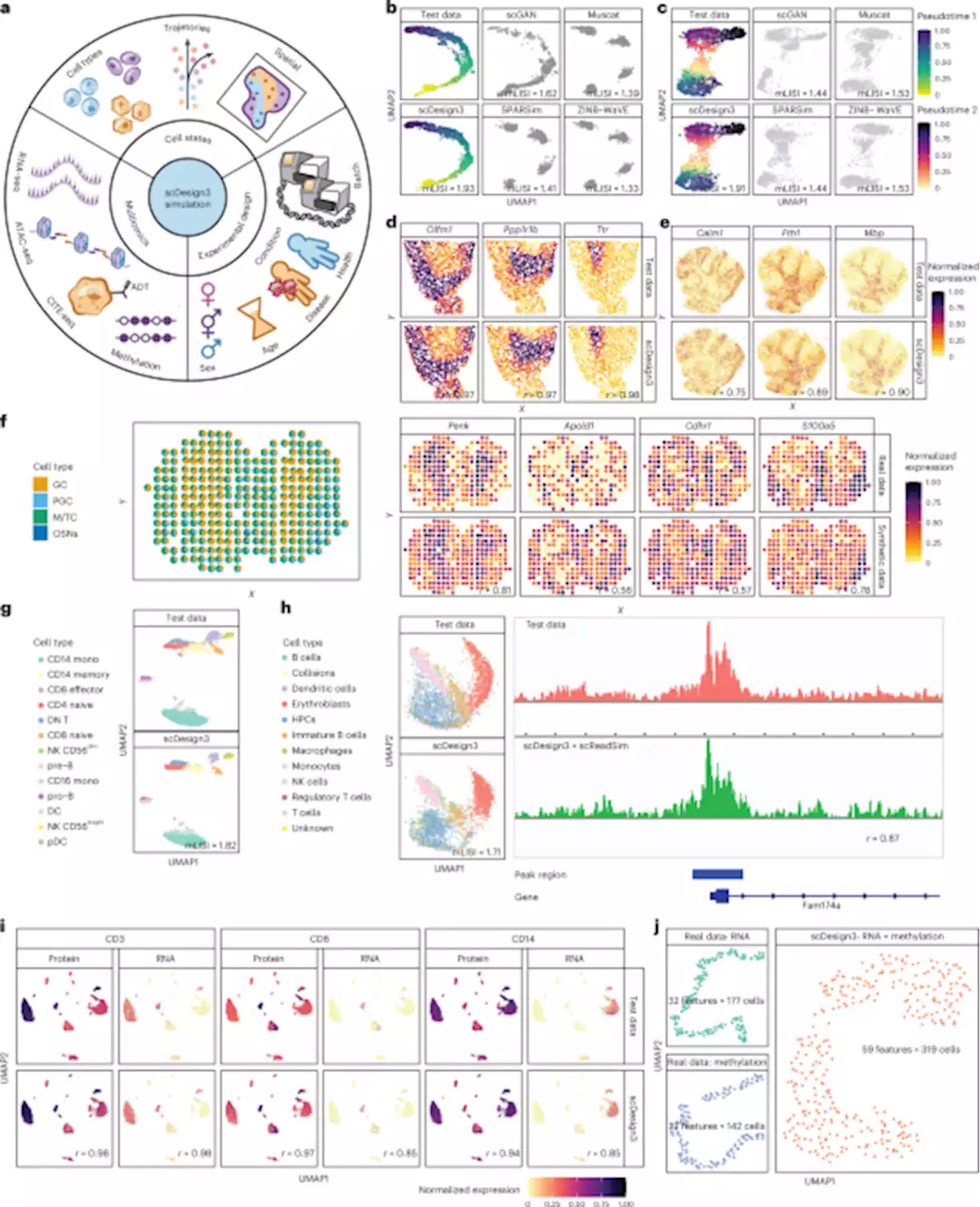 scDesign3 generates realistic in silico data for multimodal single-cell and spatial omics - Nature Biotechnology