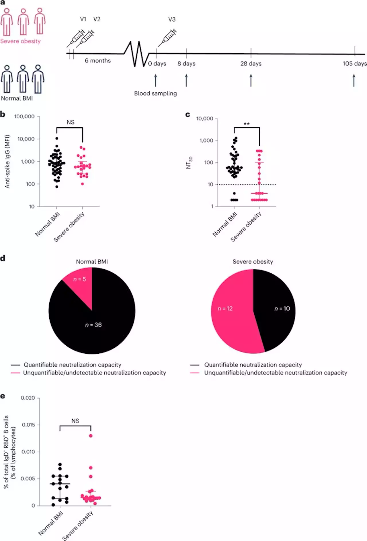 Accelerated waning of the humoral response to COVID-19 vaccines in obesity - Nature Medicine