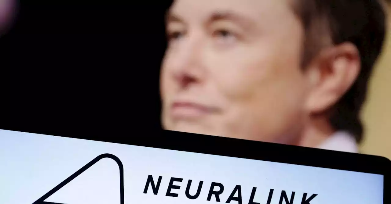 US lawmakers seek probe of how Elon Musk's brain chip venture oversees animal experiments