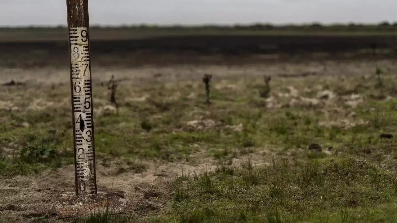 Espagne: de nouvelles mesures d’aide à l’agriculture face à la sécheresse