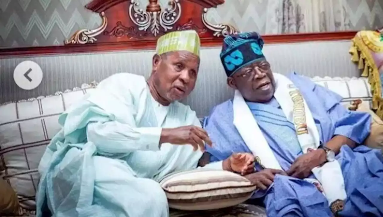 God Saved APC From Shame; People May Think Buhari Government Failed If Tinubu Lost Presidential Poll –Governor Masari | Sahara Reporters