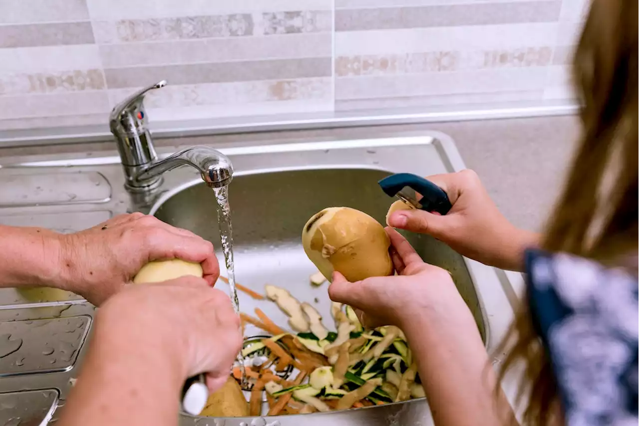 PSA From A Master Plumber: You Can't Throw *All* Foods In Your Garbage Disposal