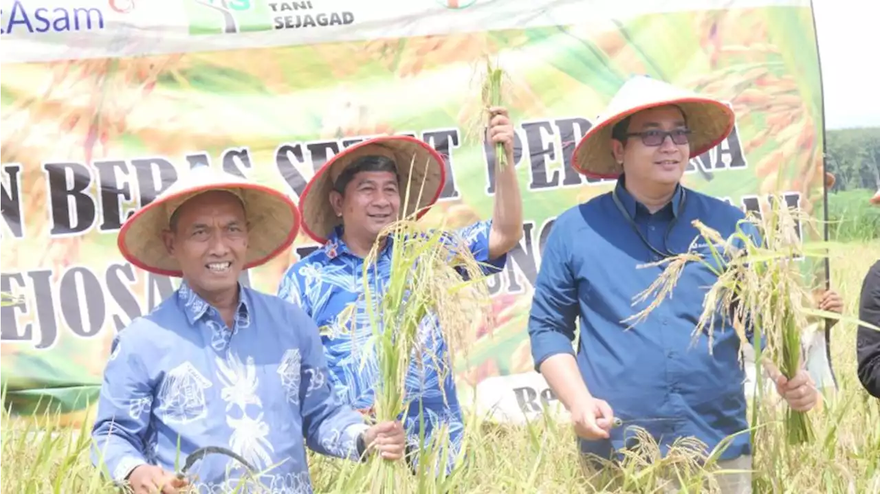 Dukungan Bukit Asam untuk Wujudkan Pertanian Ramah Lingkungan