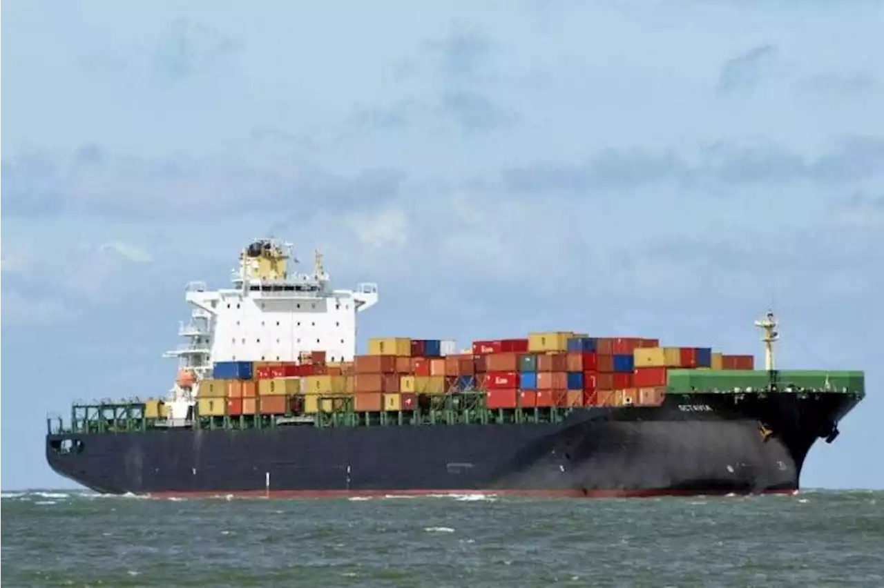 Singapore-registered ship drifting in New Zealand waters after losing power, rescue efforts underway