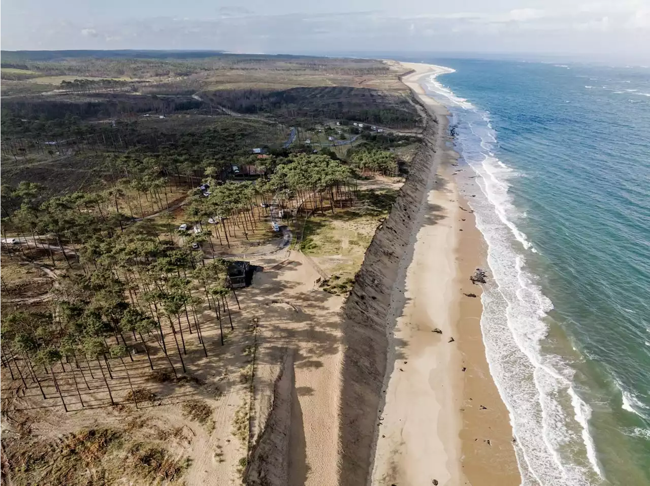 Incendies en Gironde : plages et forêts où en est-on avant l’été ?