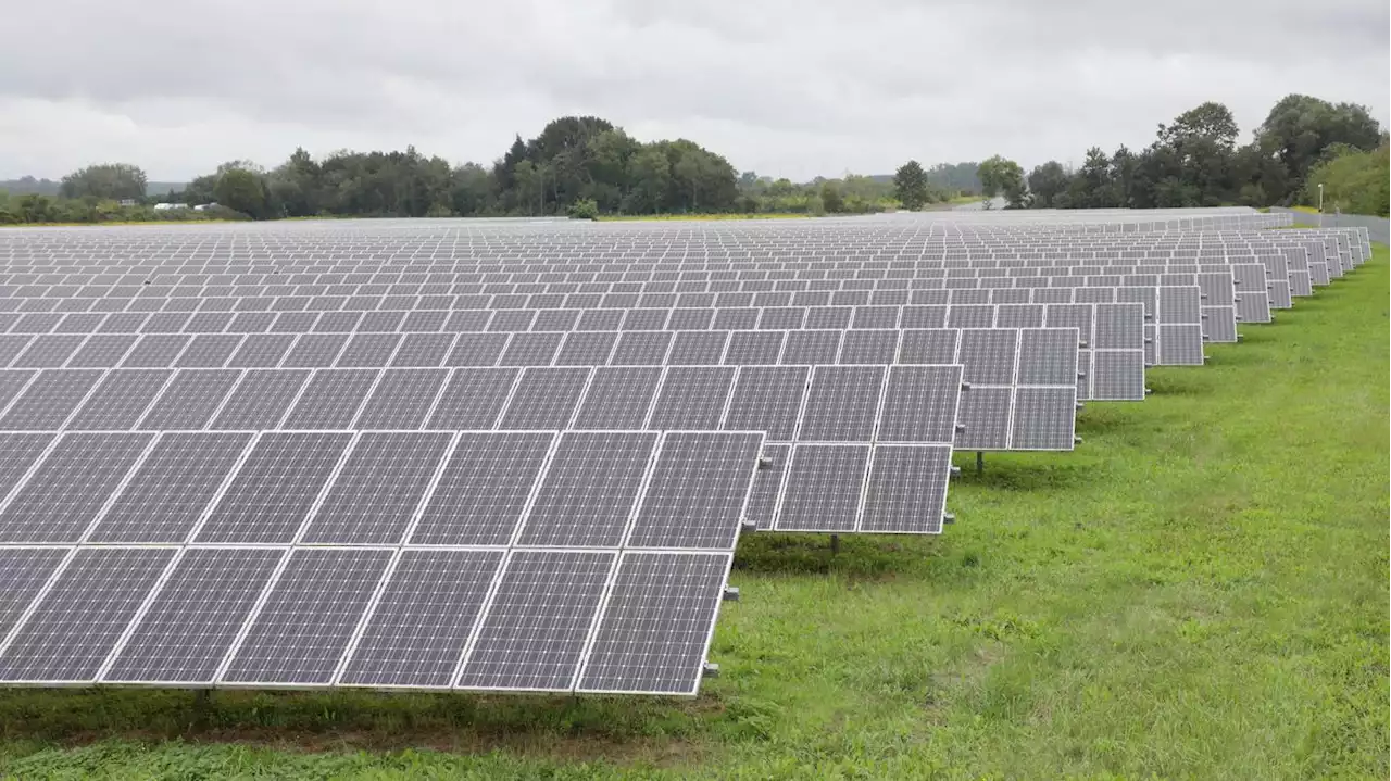 Künftig Photovoltaik in Landschaftsschutzgebieten: Brandenburger Landtag beschließt Ausbaumöglichkeiten für Solarzellen