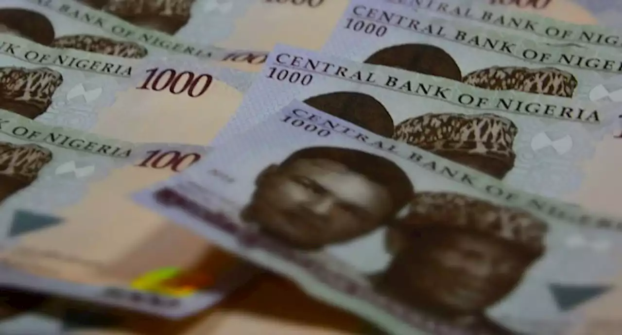 Battle against gender inequality in Nigeria: Ending the money marriage culture | TheCable