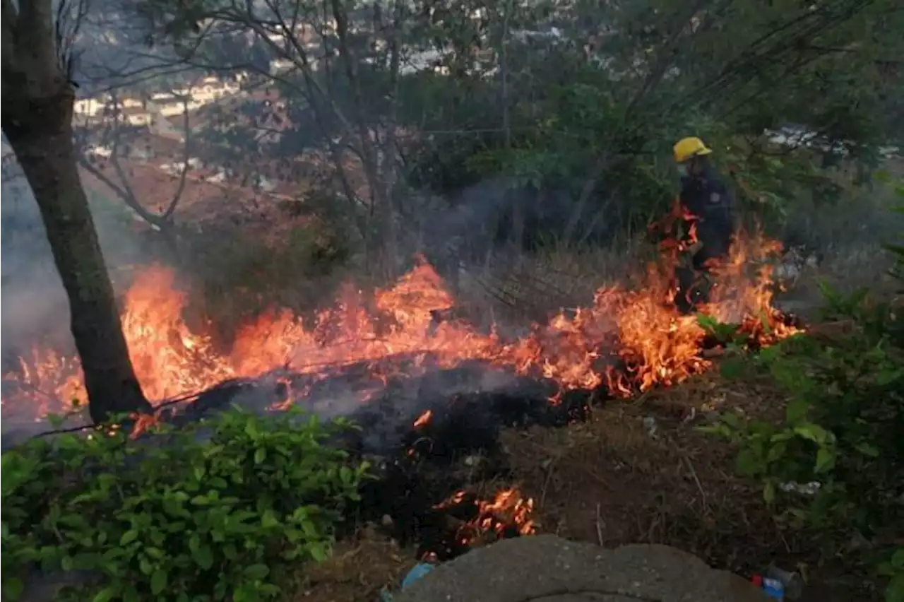 Al menos 36 municipios de Santander están en riesgo de incendios por altas temperaturas