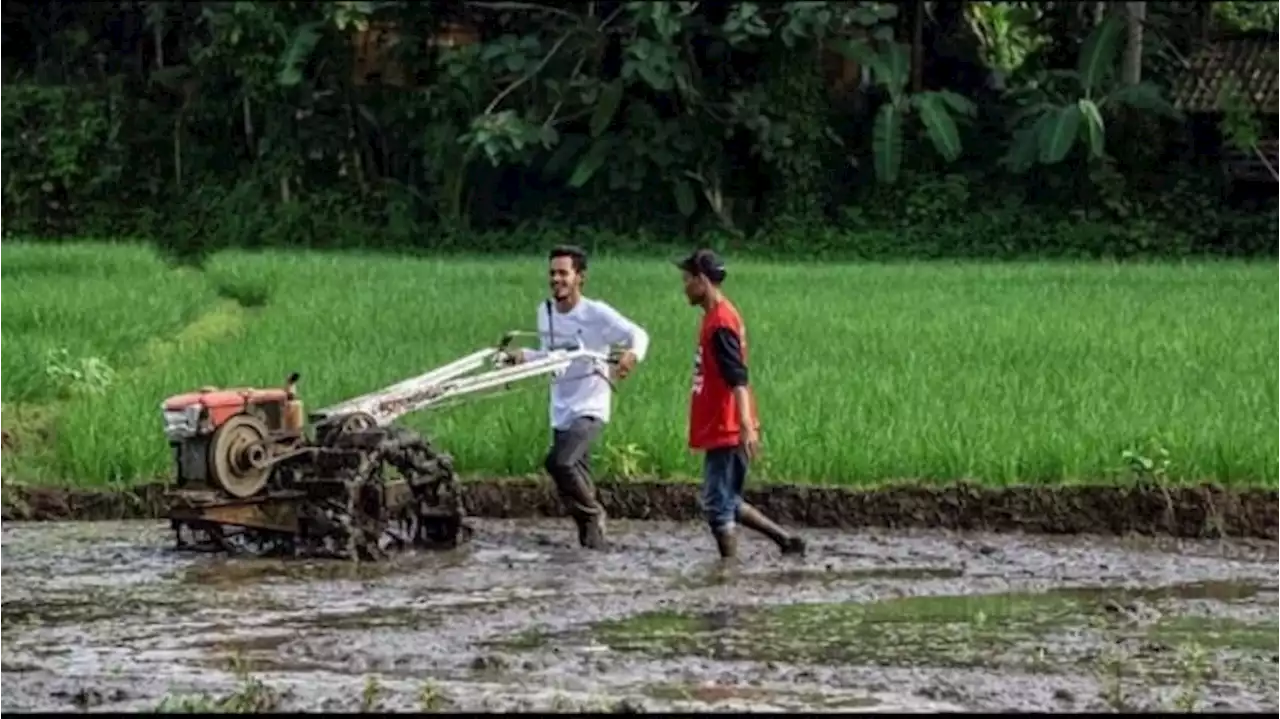 Pemerintah Diminta Ambil Langkah Antisipasi Terkait Ancaman El Nino