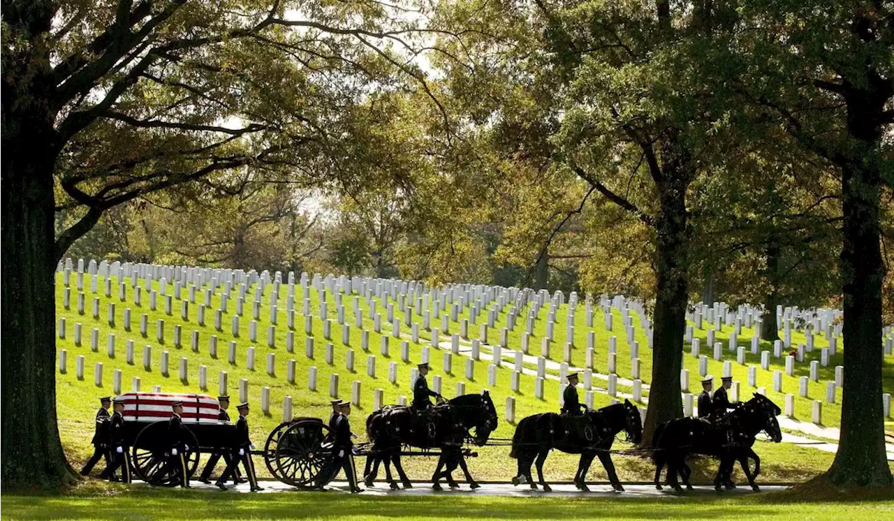 After Arlington National Cemetery horse deaths, Army makes changes to improve their care