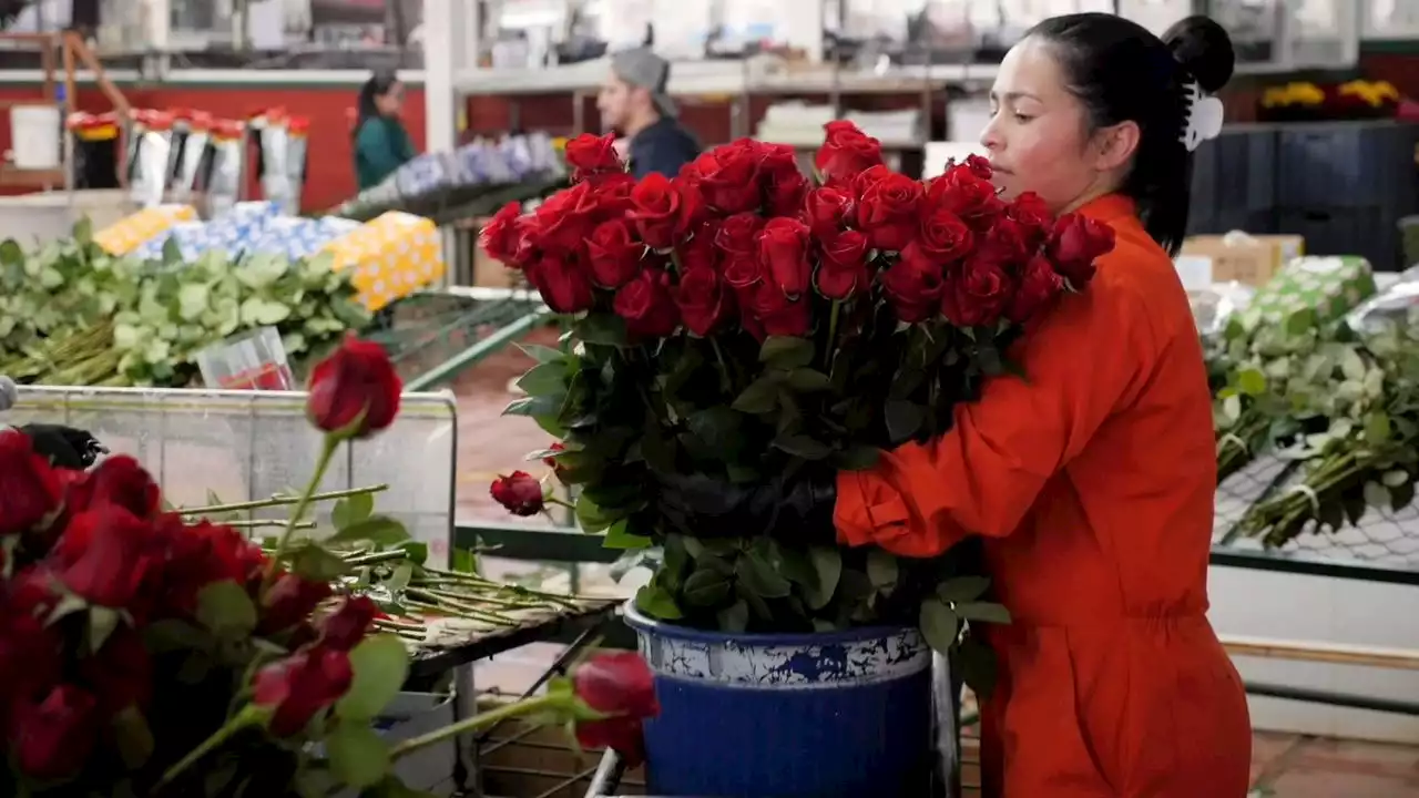 How 1-800-Flowers Delivers 23 Million Flowers for Mother’s Day