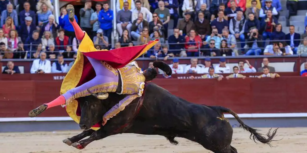 Y Juan Pedro puso orden y trajo el toro de Madrid