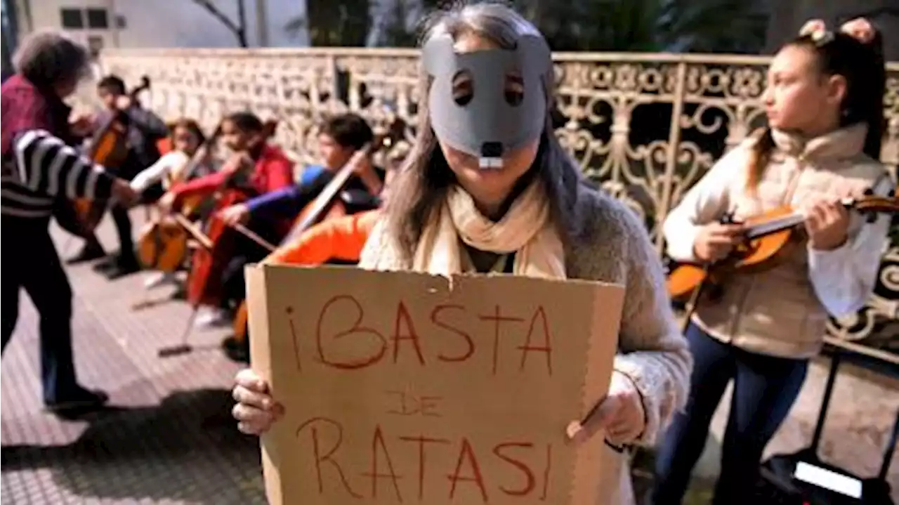 Estudiantes de una escuela de música ofrecieron un concierto ante la presencia de ratas