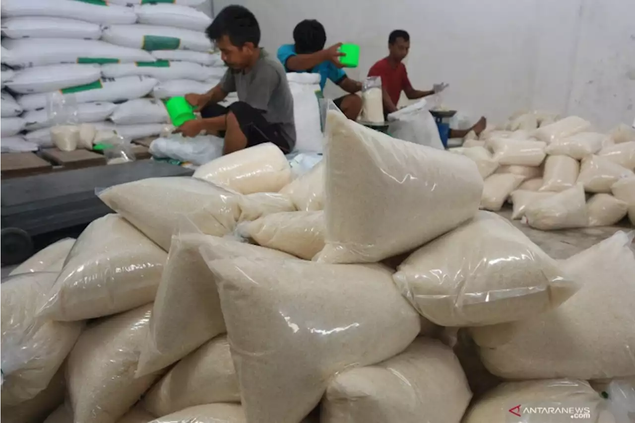 APTRI usulkan kenaikan HPP gula di tingkat petani, jadi Rp15.000/kg