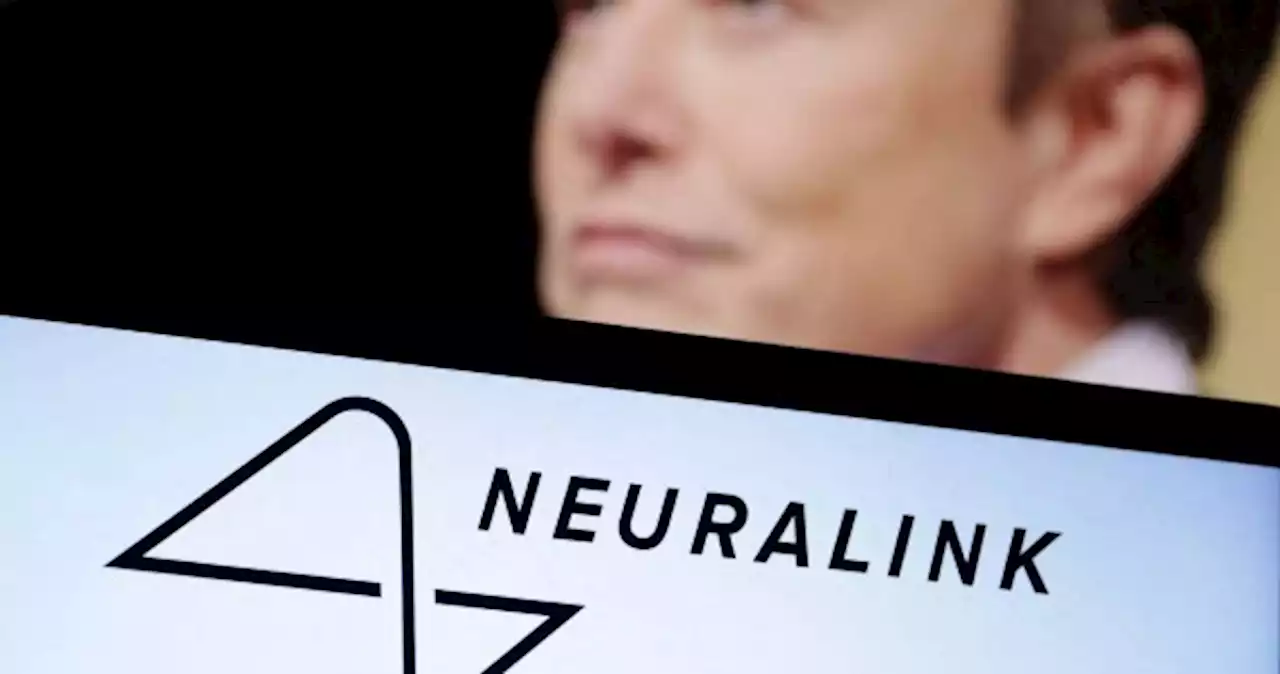 US lawmakers seek probe of how Elon Musk's brain chip venture oversees animal experiments