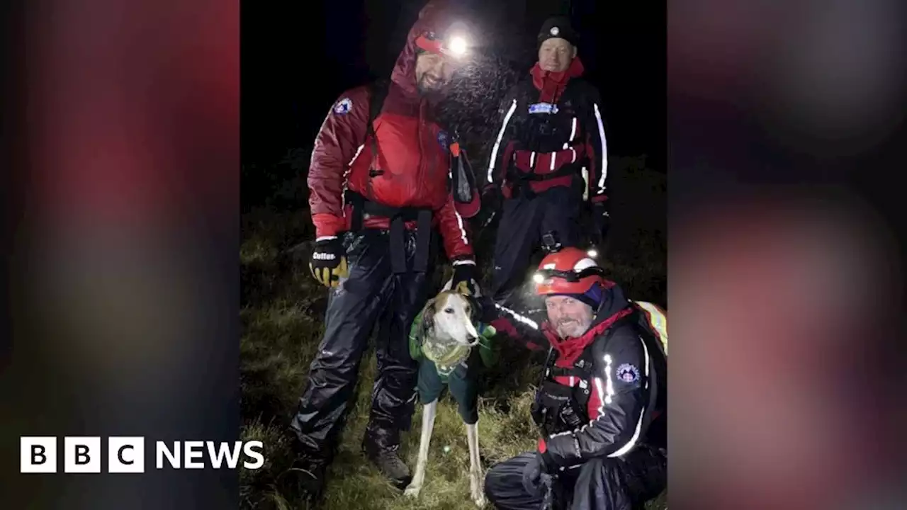 Woman and dog rescued near Peak District waterfall