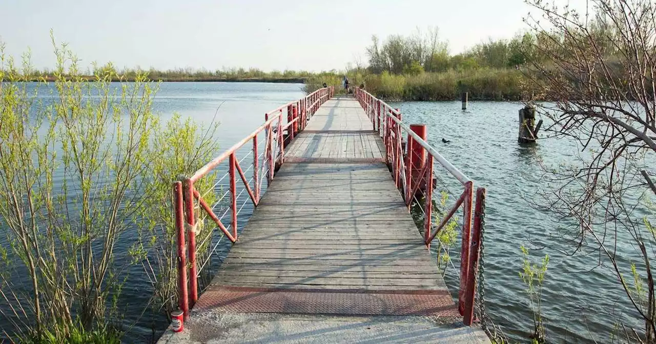 This waterfront oasis is Toronto's secret park for nature lovers