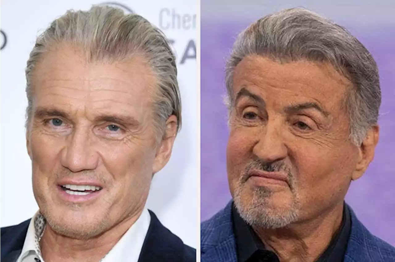 Dolph Lundgren Revealed He Almost 'Punched Out' Sylvester Stallone On 'The Expendables' Set, And I'm Shocked