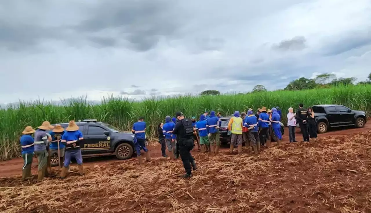 Brasil resgata 1.201 trabalhadores em condições análogas à escravidão em 2023