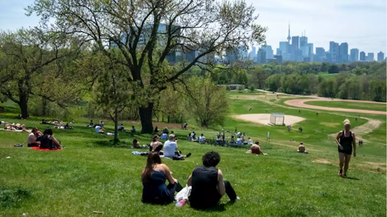 Toronto a step closer to allowing drinking in parks this summer