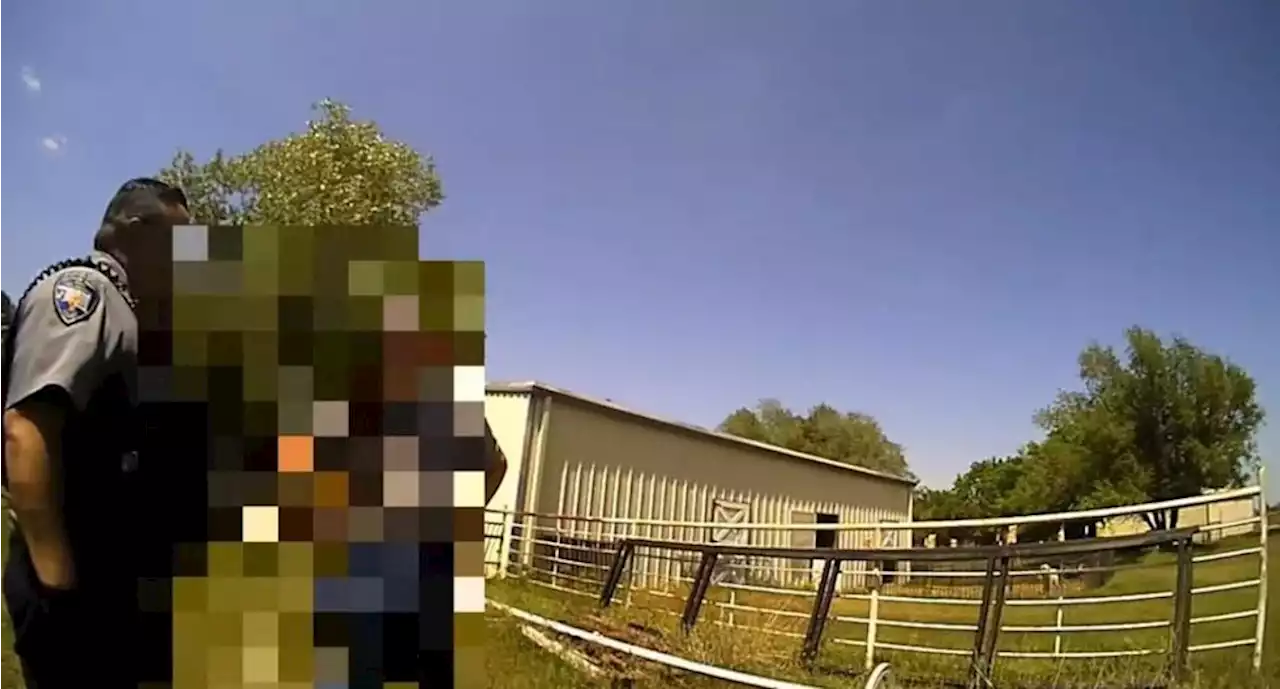 VIDEO: Policía se preocupó por gritos de ayuda; resultó ser una cabra desesperada