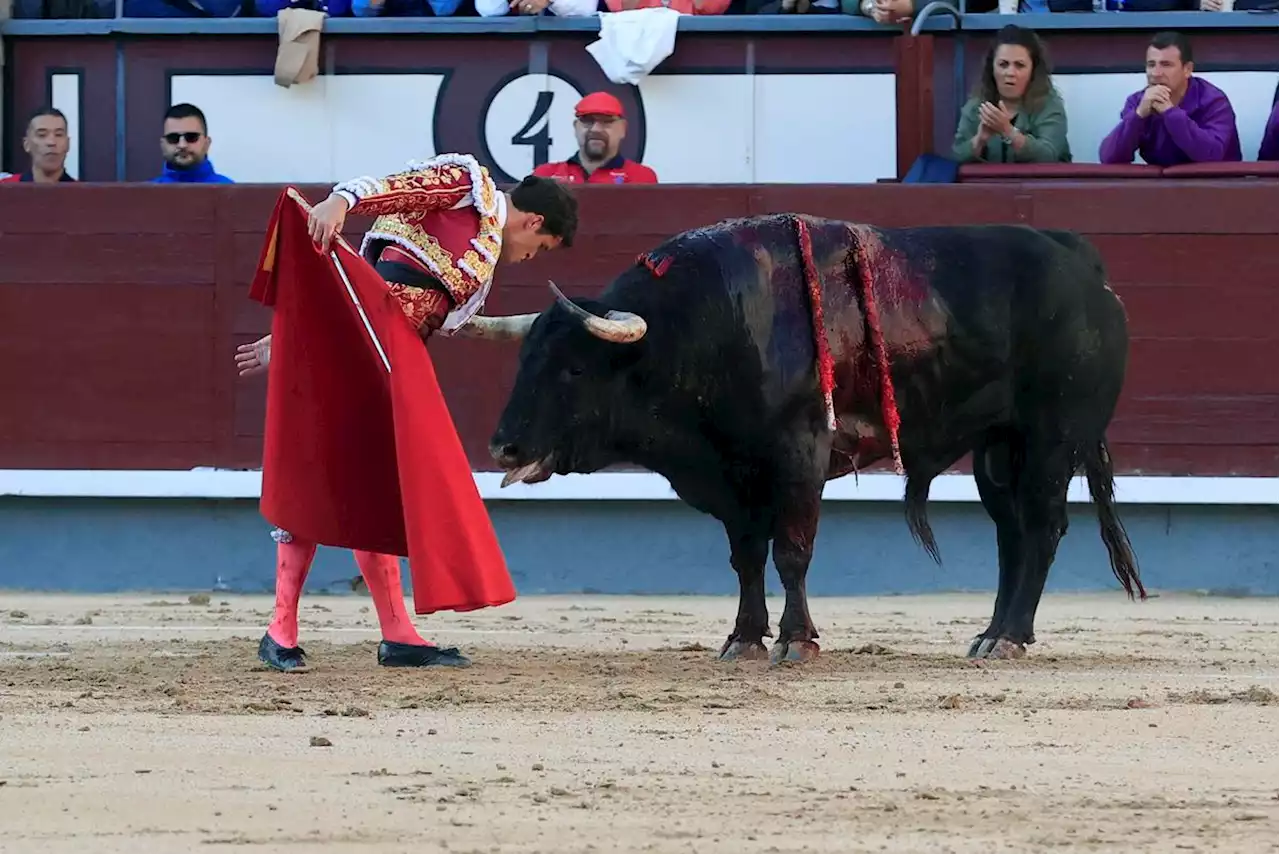 Daniel Luque, deslumbrante claridad