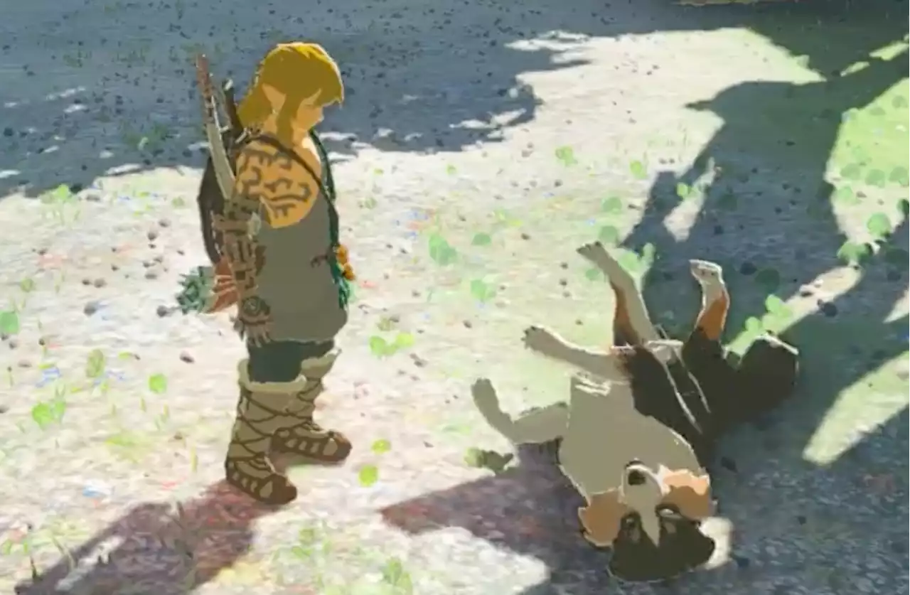 Players are not happy that you cannot pet the dog in Zelda: Tears of the Kingdom