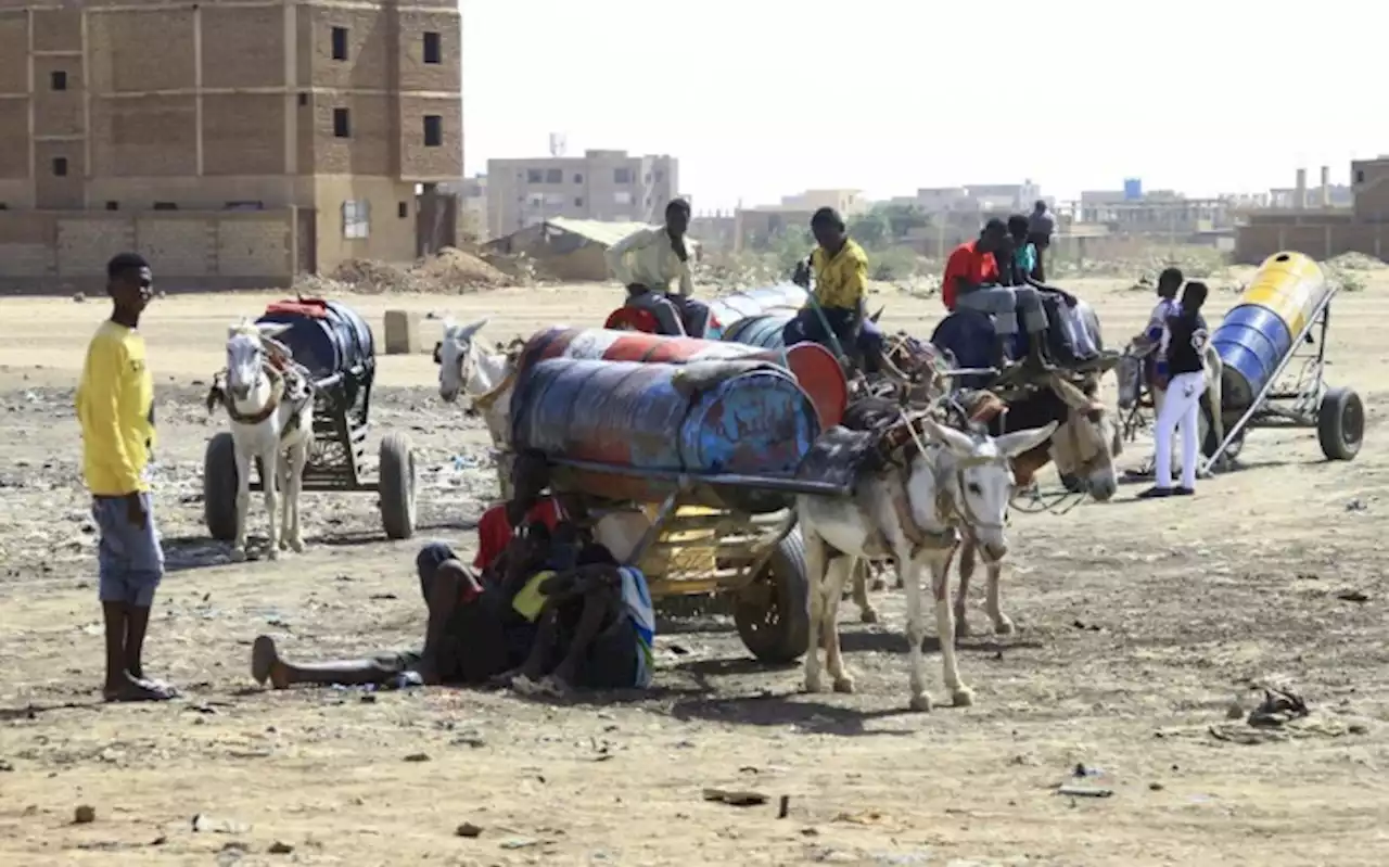 'Nothing left' as looting guts Sudan's already crippled economy