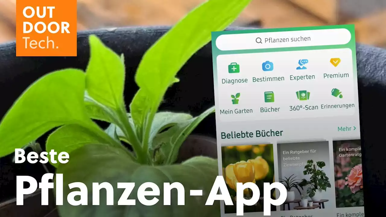 Beste App zum Pflanzen-Bestimmen: 6 Apps im Test