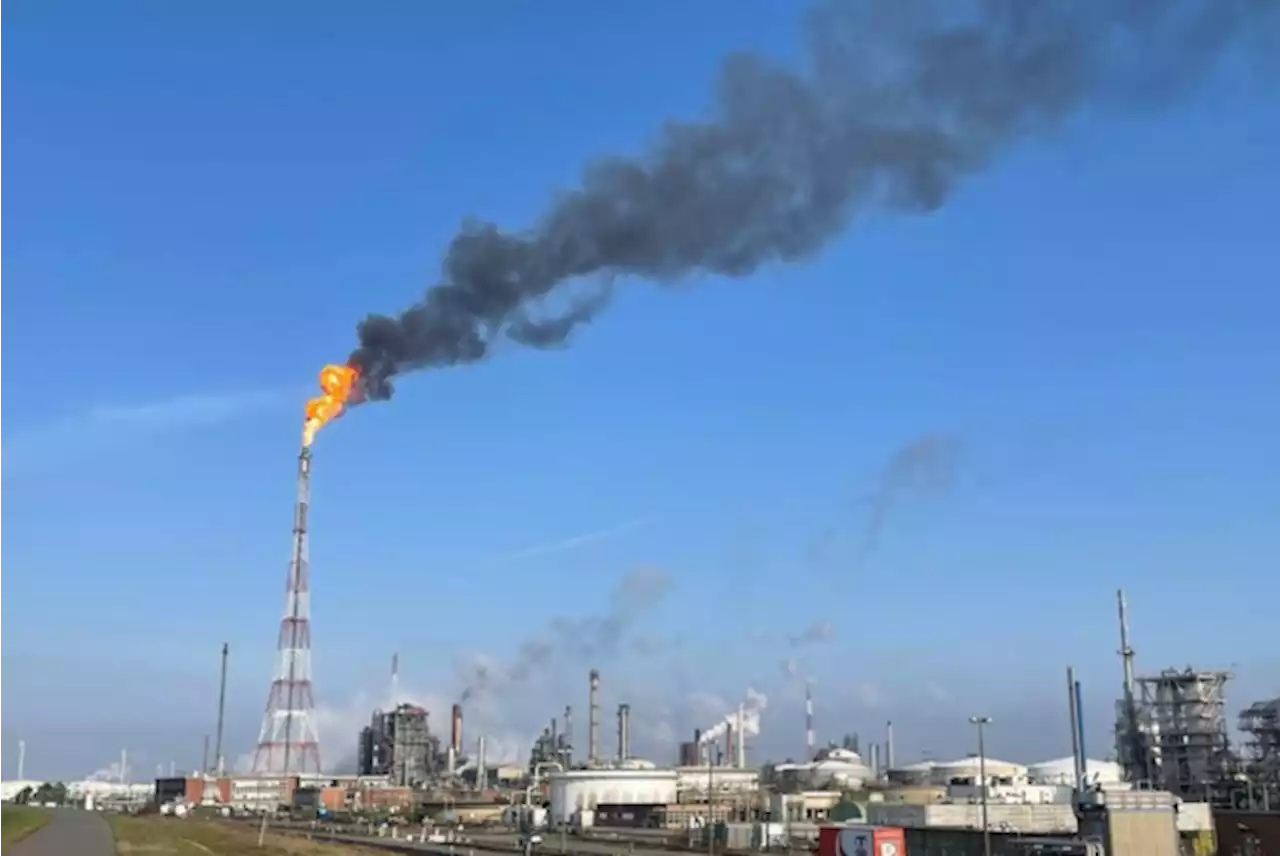 Verhoogde fakkelactiviteit bij TotalEnergies in Antwerpen wegens technisch incident