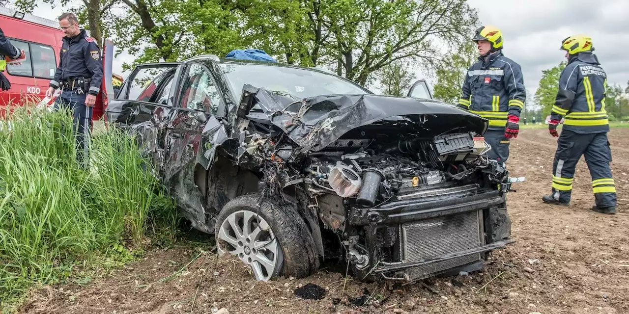 Lenker mähte mehrere Bäume um - schwer verletzt