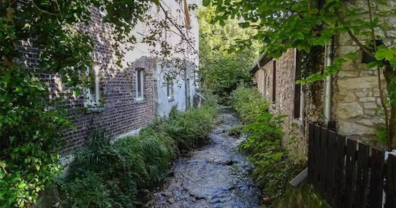 Wanderung von Köln zum Bensberger See und wieder nach Köln