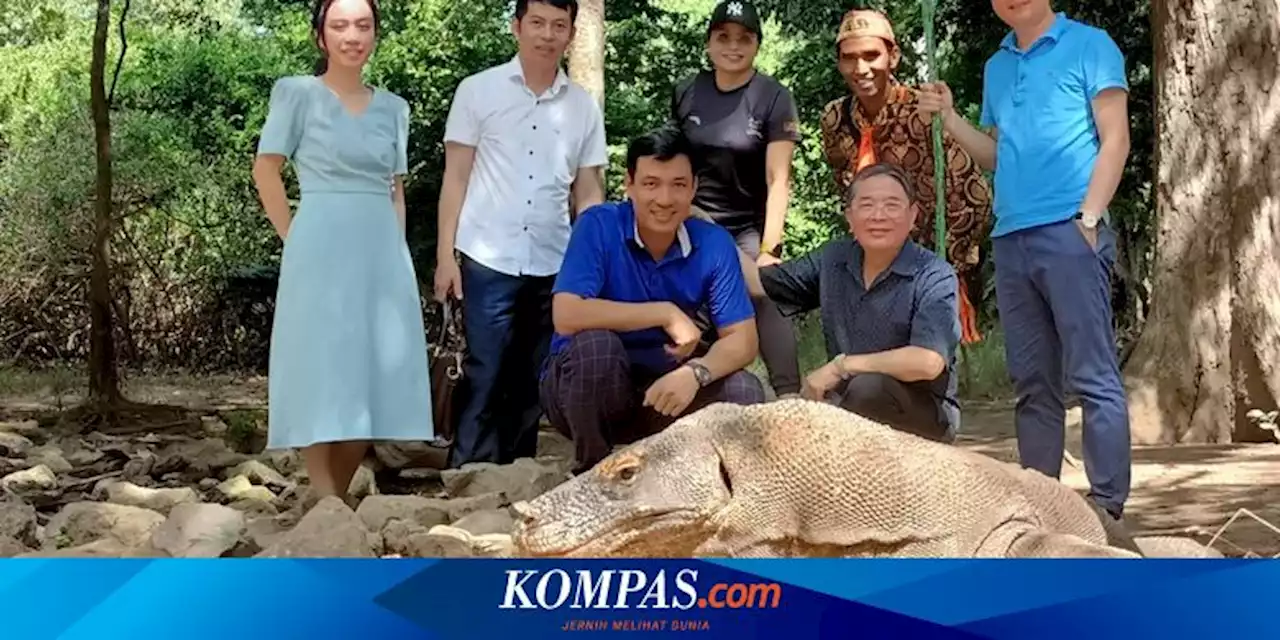 Cerita Jefri Pandu Wisata Delegasi Vietnam ke TN Komodo, Mereka Kagumi Pink Beach