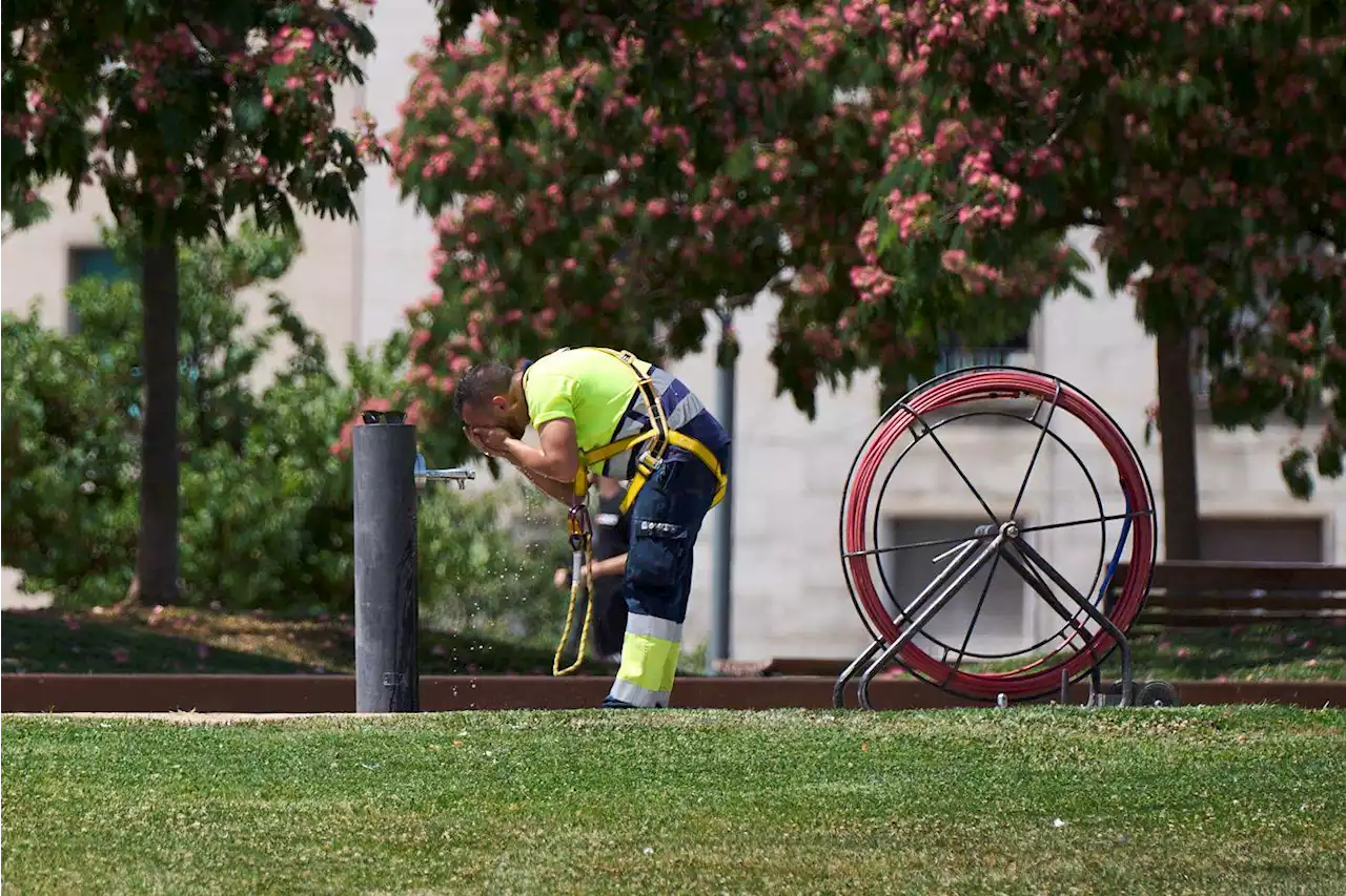 Trabajar a 40 grados: agua y una gorra frente al calor del sol y el asfalto