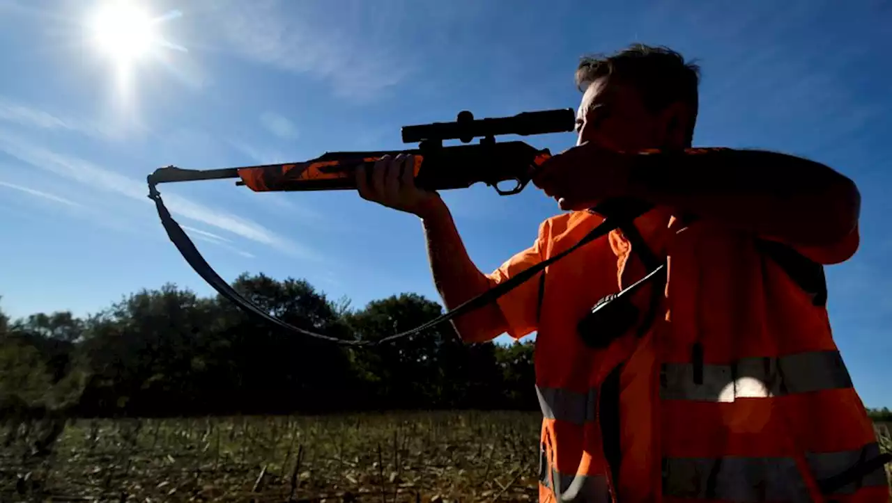 Le chasseur tire et transperce la vitre d'une maison : son permis de chasse est retiré