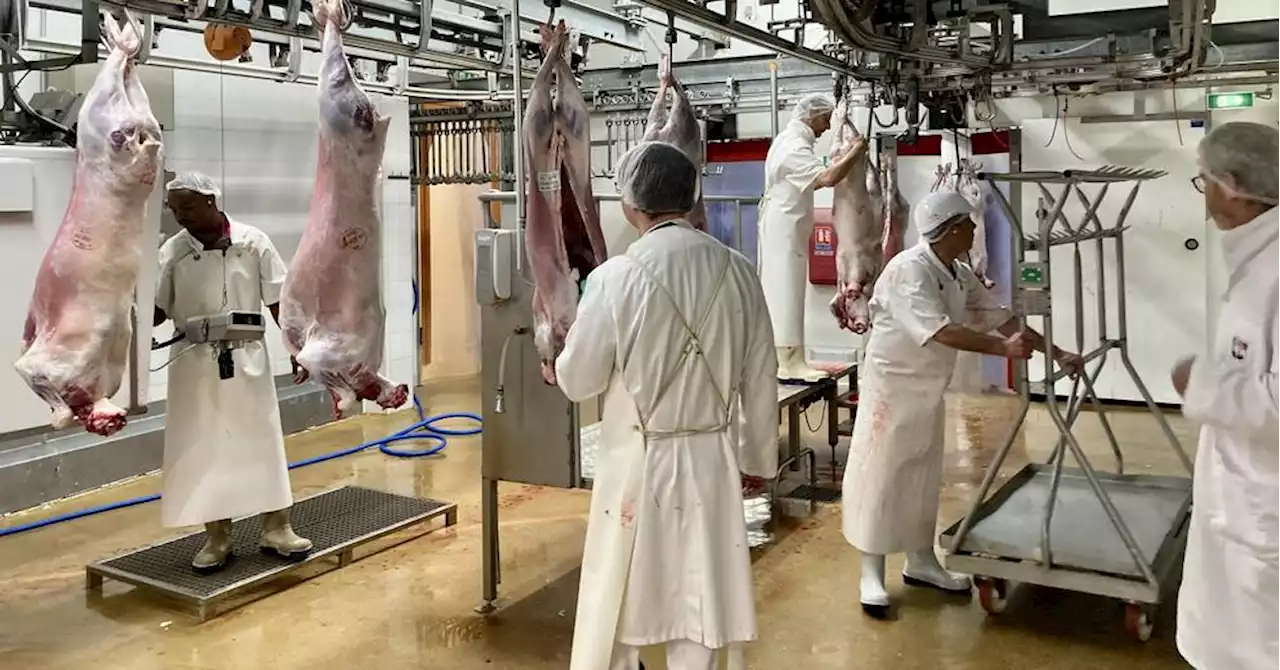 Alpes-de-Haute-Provence : Malgré une baisse de l'activité, pas de licenciements prévus à l'abattoir de Sisteron