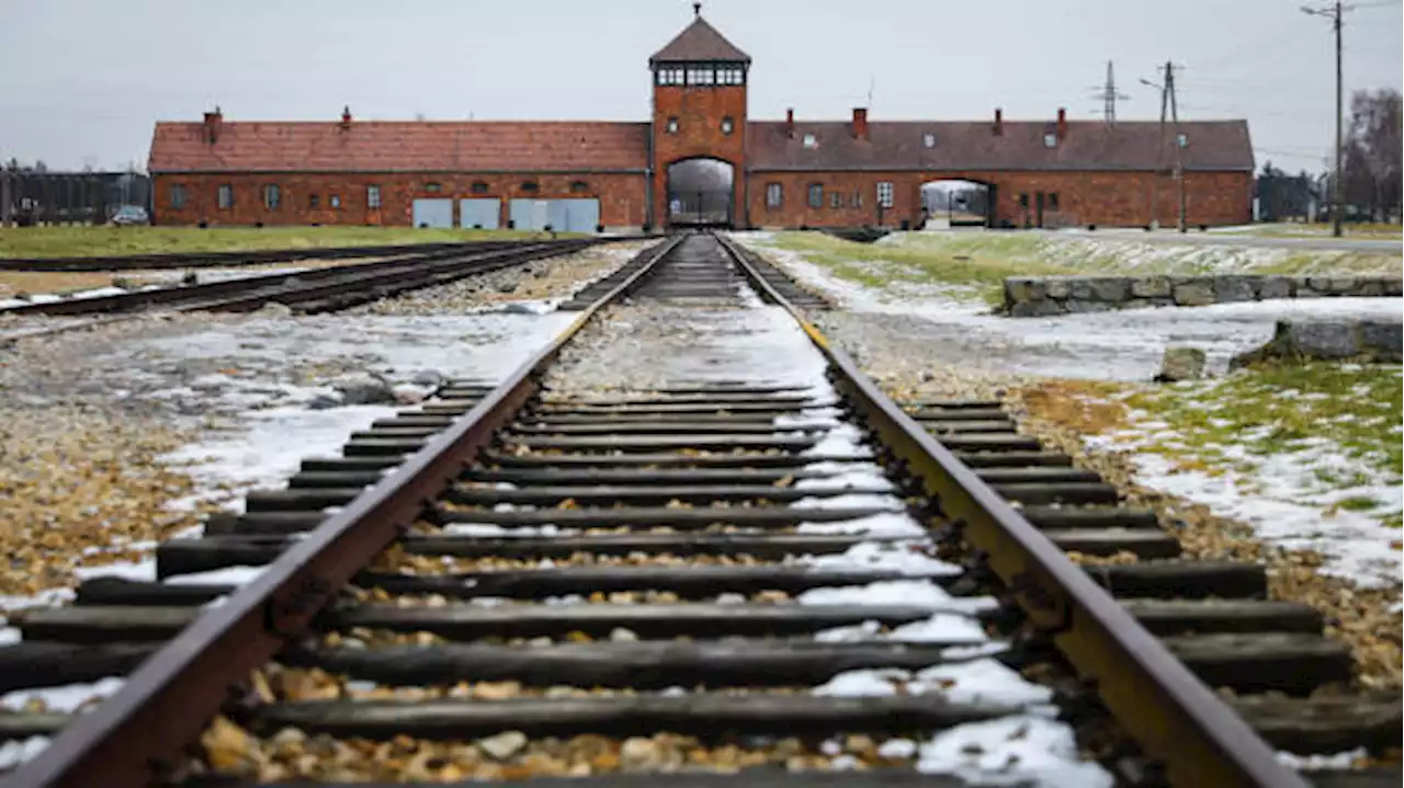 Auschwitz condemns 'disrespectful' ice cream stand set up outside former concentration camp