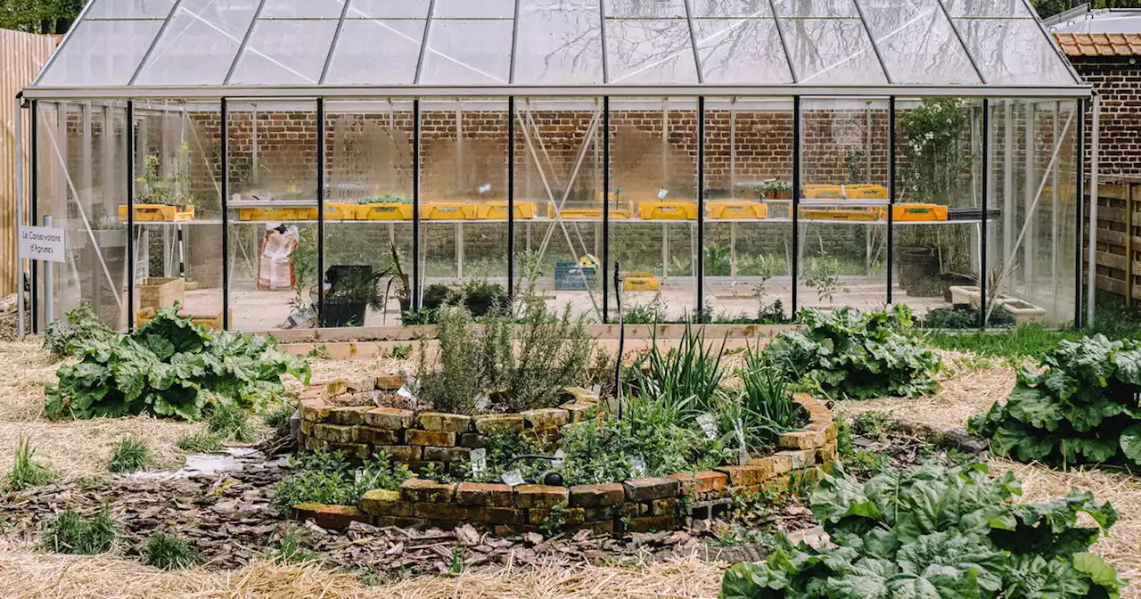 Au château de Beaulieu, Christophe Dufossé, un chef étoilé qui cultive son jardin sacré