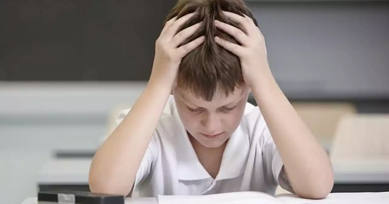 Government defends SATs exams after question left schoolchildren in tears