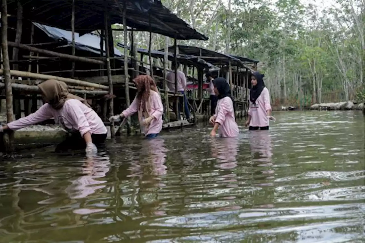 Srikandi Ganjar Jambi Tumbuhkan Cinta dan Peduli Kawasan Wisata Melalui Gotong Royong