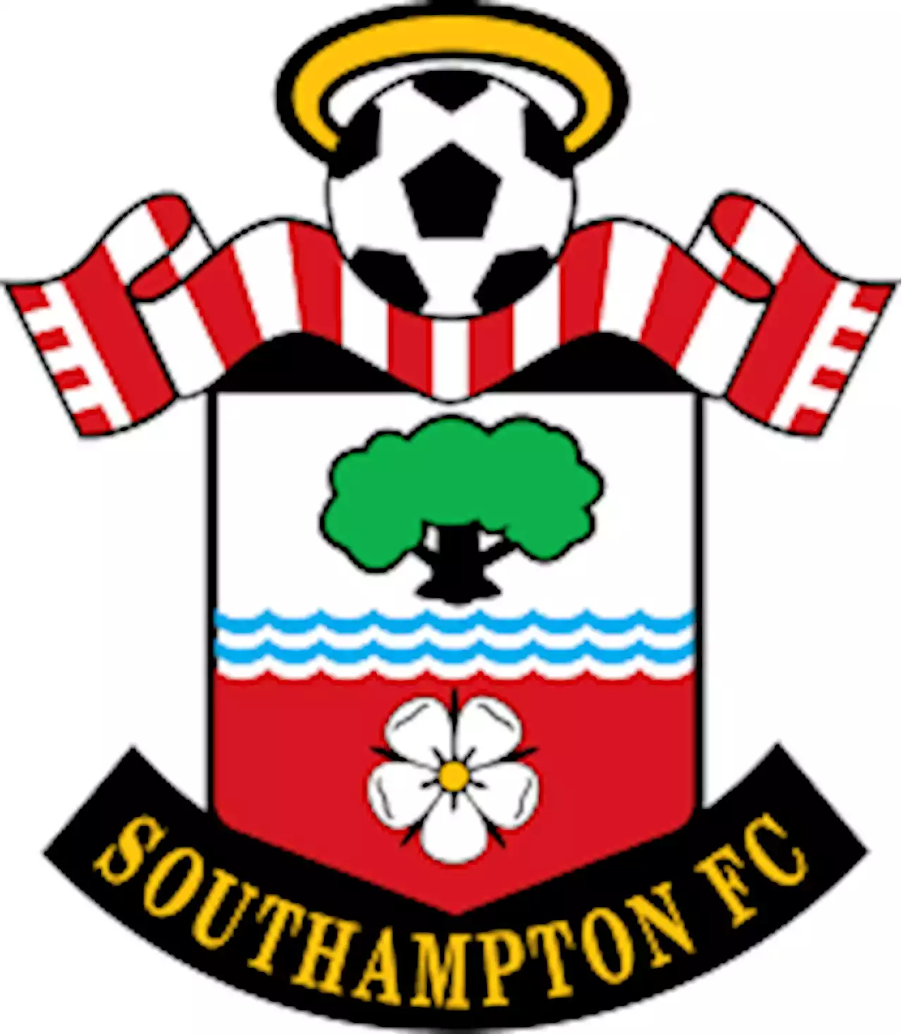 EPL: Southampton relegated to Championship after Fulham defeat - Punch Newspapers